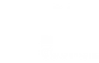 DEI Council