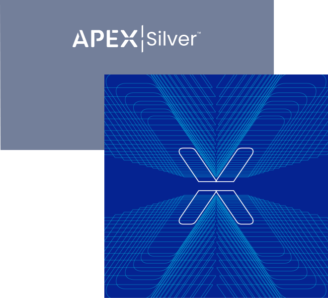 The Apex Silver text logo.